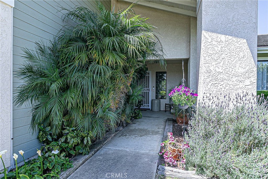 Property Photo: 528 Countrywood Court CA 93436