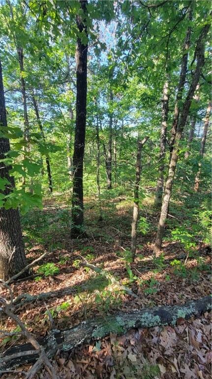 Property Photo:  Severn Lane  AR 72715 