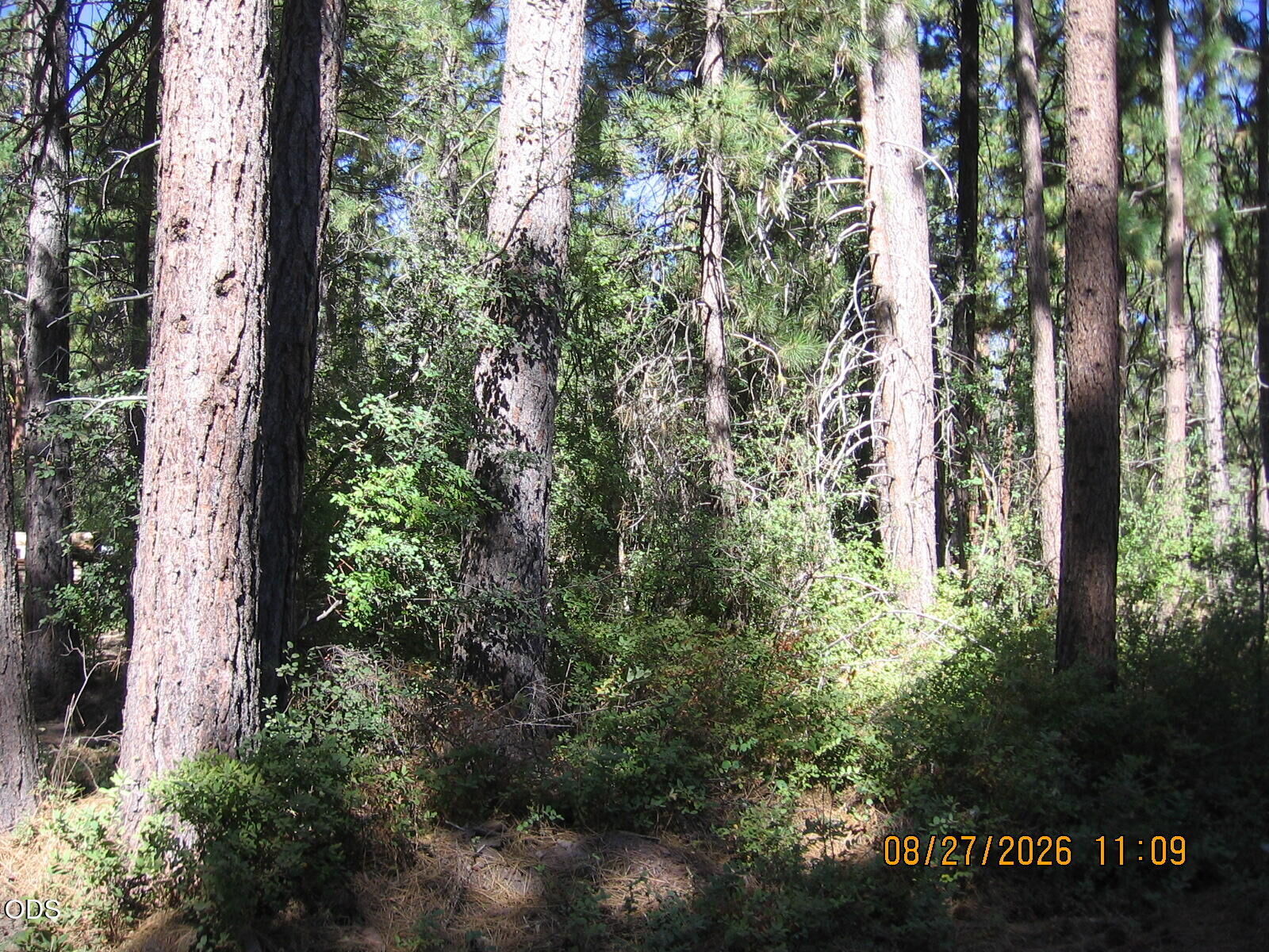 Property Photo:  E. Street 23  OR 97601 