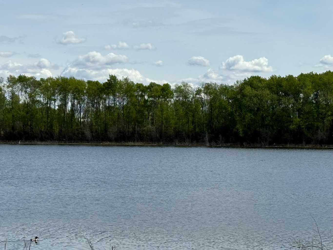 Property Photo: 840 Township Road AB T8S 1S4