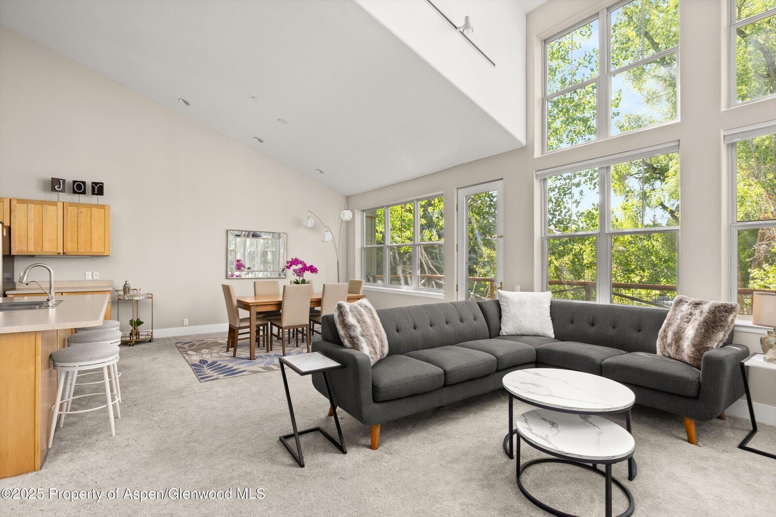 Property Photo: 612 Evans Court CO 81621