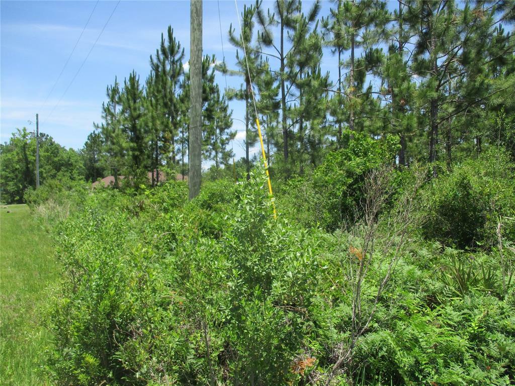 Property Photo: 0 10th Avenue FL 32046