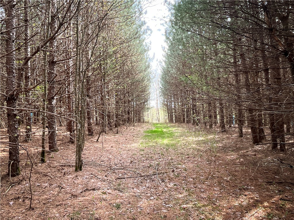 W Creek Road  Richford NY 13835 photo