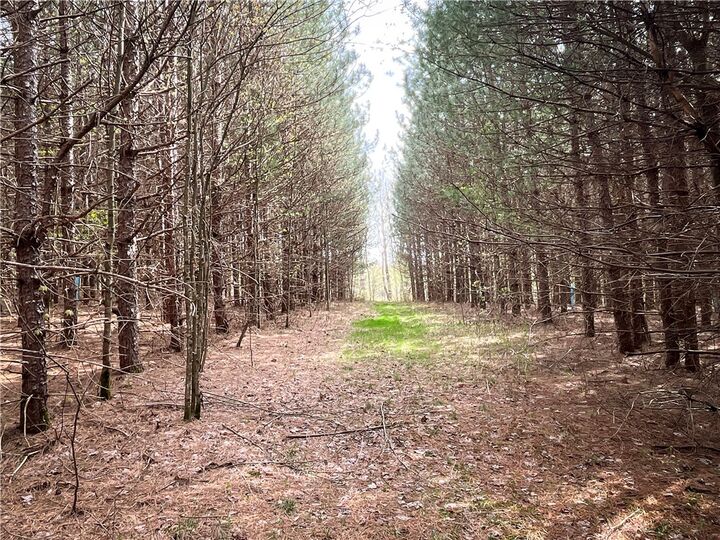 W Creek Road  Richford NY 13835 photo