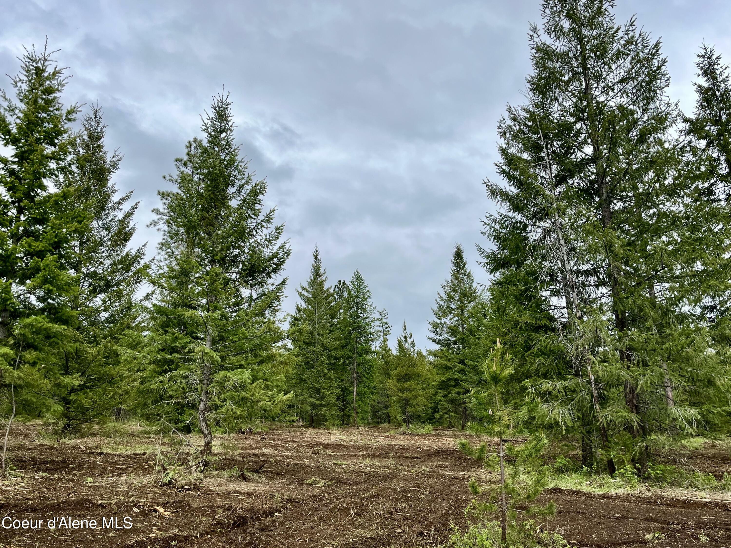 Property Photo: 12 Acres Elizabeth Lane ID 83801