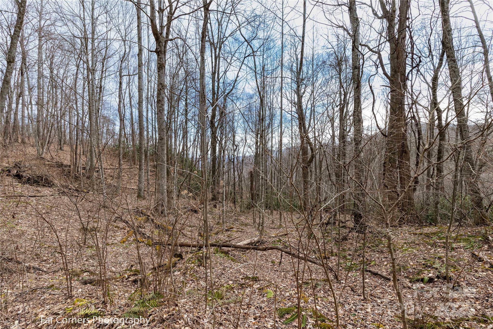 Property Photo:  9 Chandra Lane  NC 28721 