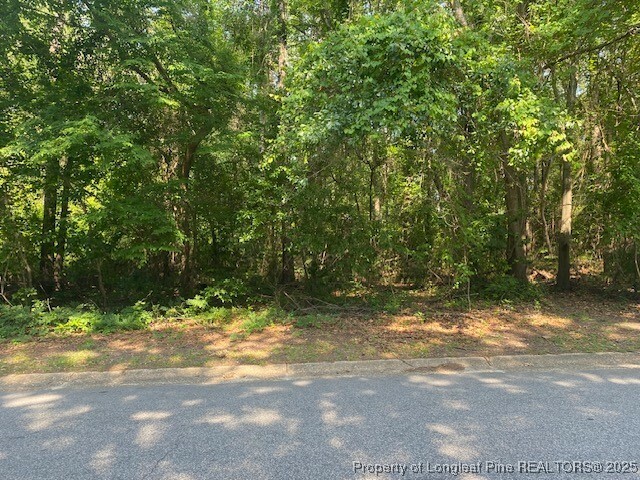 Property Photo: Vac North Street NC 28301