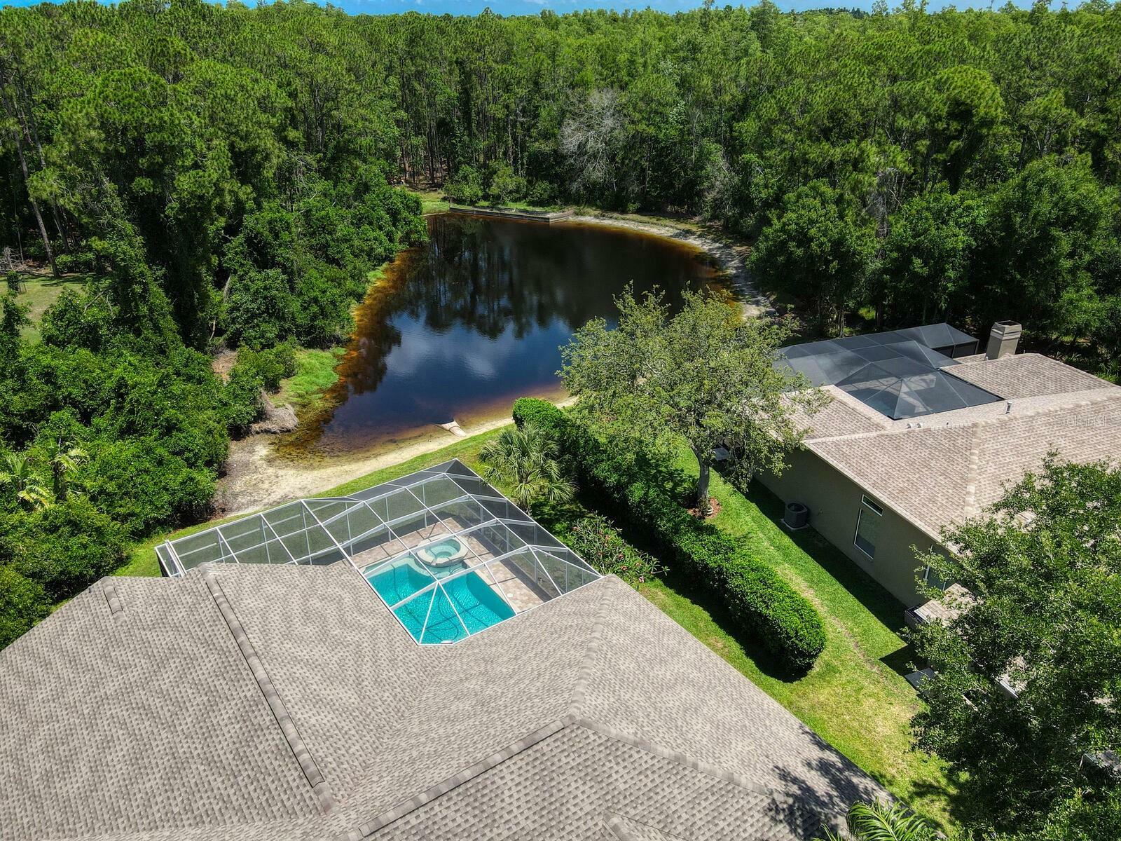 Property Photo: 3910 Saywood Court FL 34685
