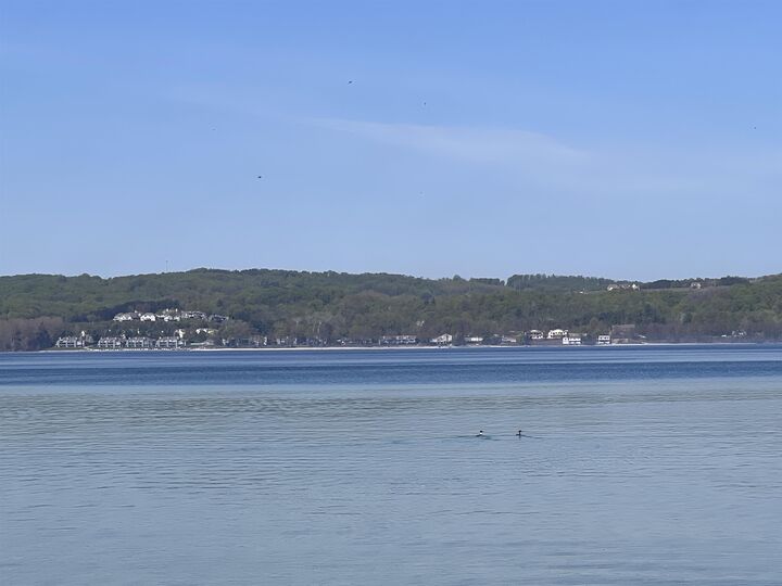 Property Photo:  00 Lovers Lane  MI 49682 