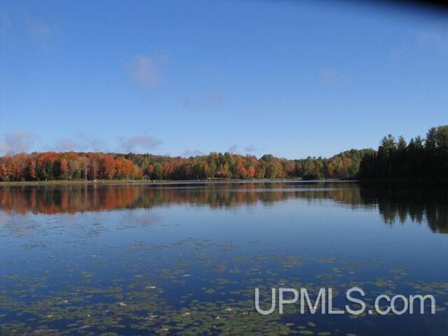 Property Photo:  2 Acres Sucker Lake Road  MI 49969 