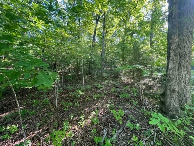 Property Photo: 1045 Erie Trail MO 63775