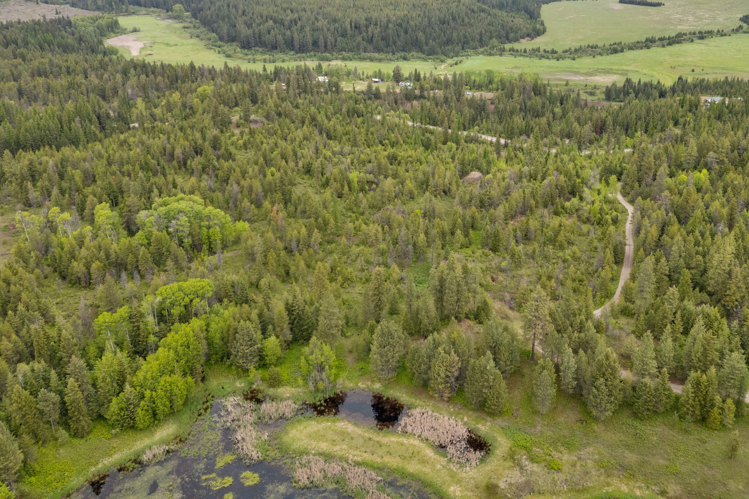 Property Photo: Lot 2 Hesseltine Rd WA 99181