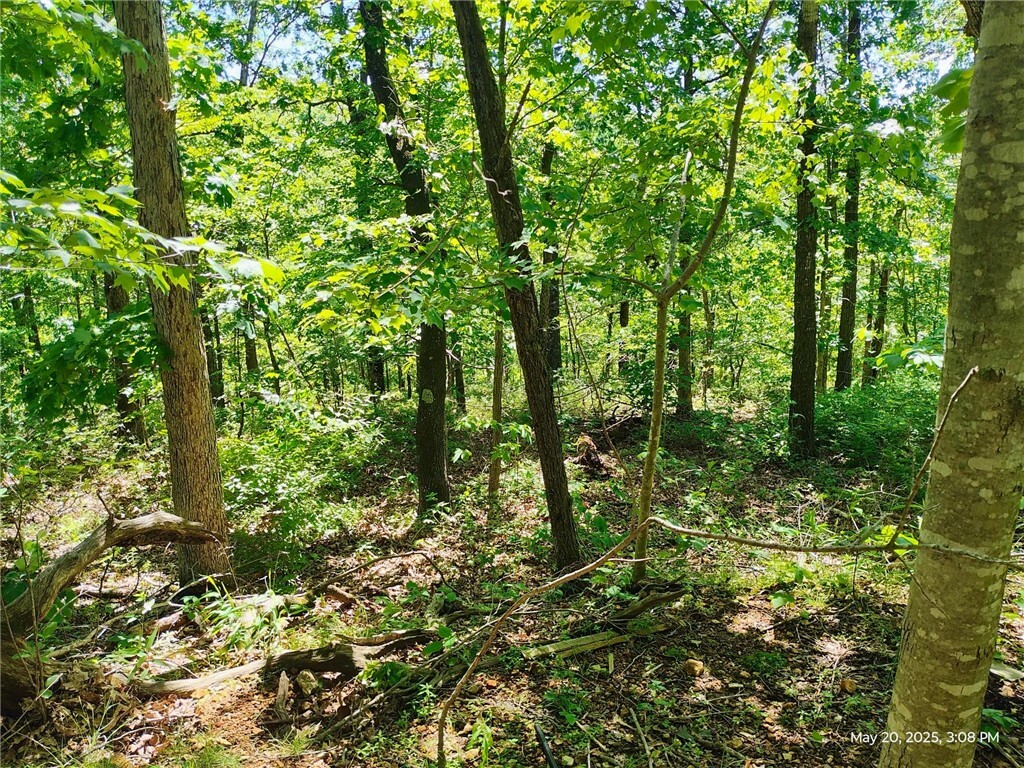 Property Photo: Lot 12 Midhurst Lane AR 72715