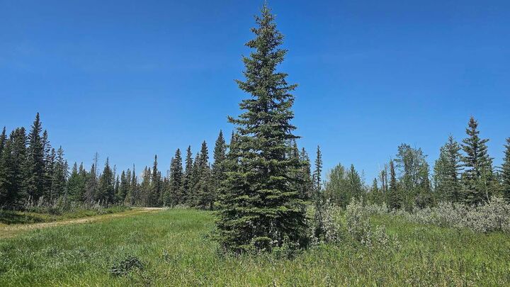 Property Photo: 34364 Range Road 42 20 AB T0M 1X0