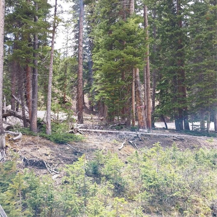Property Photo: 343 Sunshine Drive CO 80440