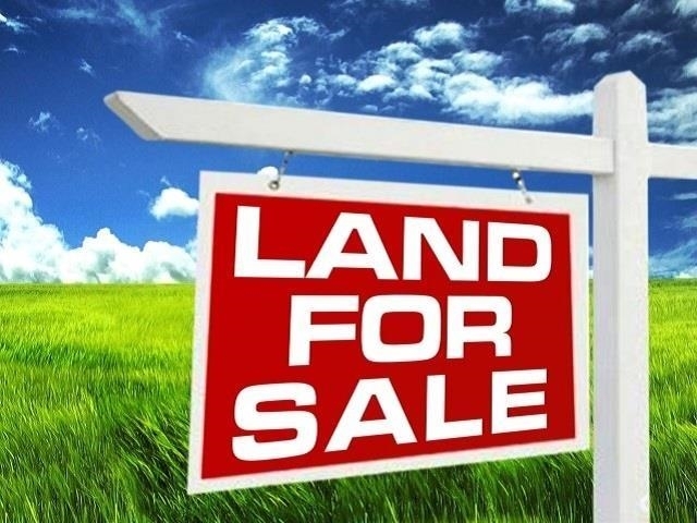 Property Photo: 6490 Claybourn Drive TX 77706
