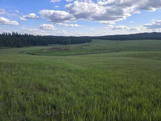 Property Photo: 5266 Wagner Rd WA 99173