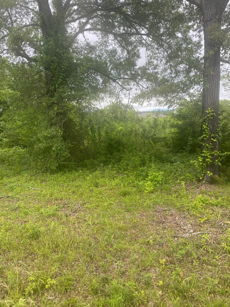 Property Photo: 2318 Cleveland Hwy GA 30721