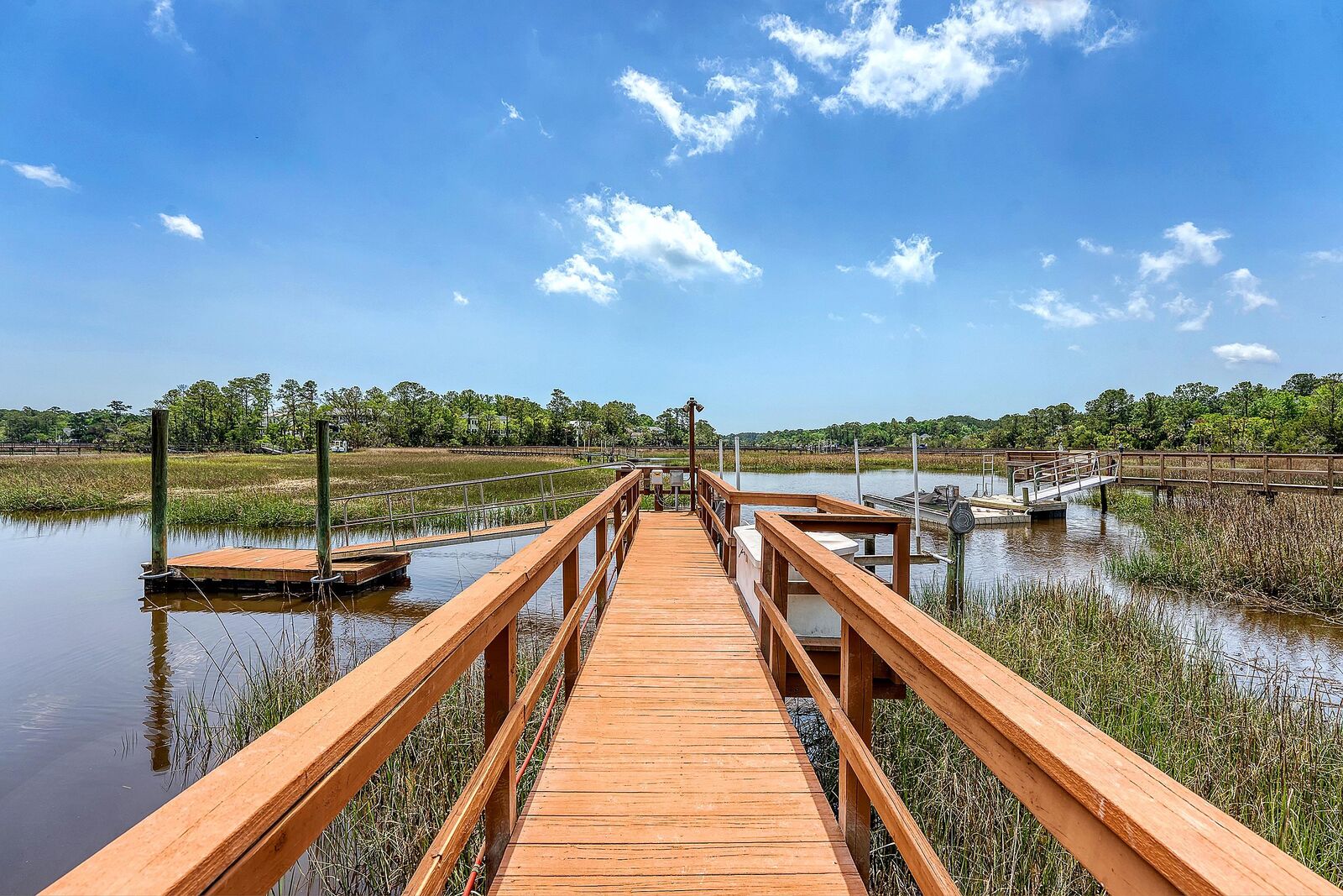 Property Photo:  3331 Cottonfield Drive  SC 29466 