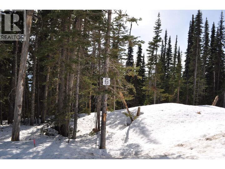 Lt 11 Alpine Way Pr. St — photo 1