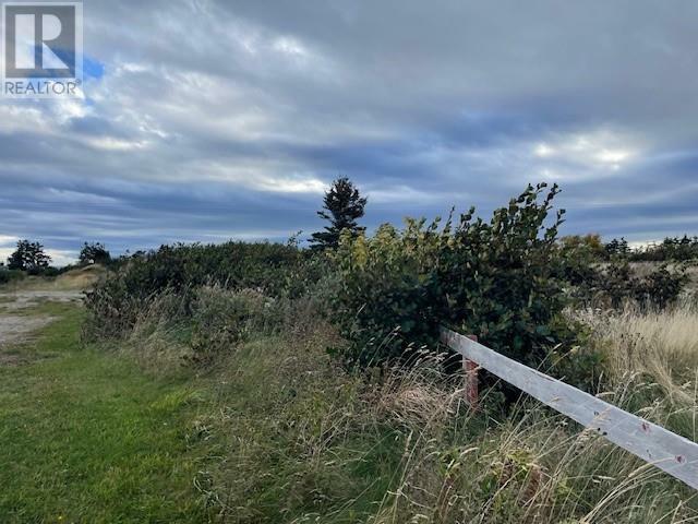 Lot 4 McIsaac'S Lane  Port Au Port East NL A0N 1T0 photo
