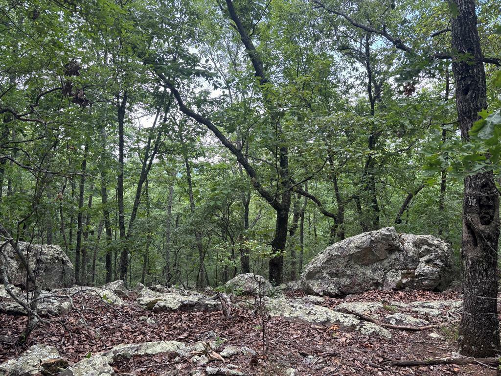 Property Photo:  27.2 Ac Barnes Mill Road  GA 31811 