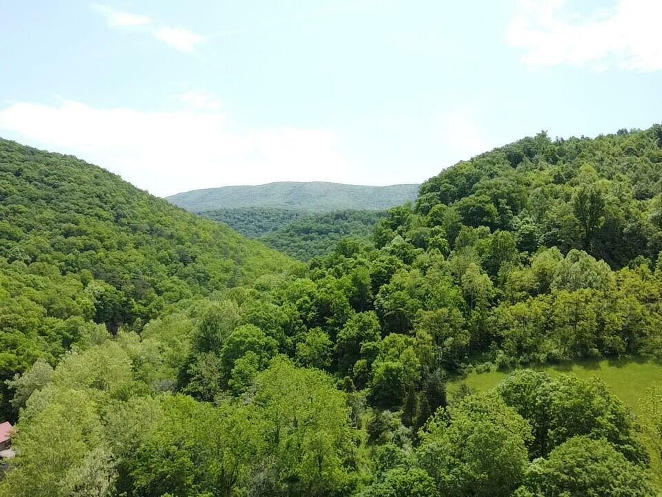 Property Photo: 0 Two Brothers Rd. WV 24951