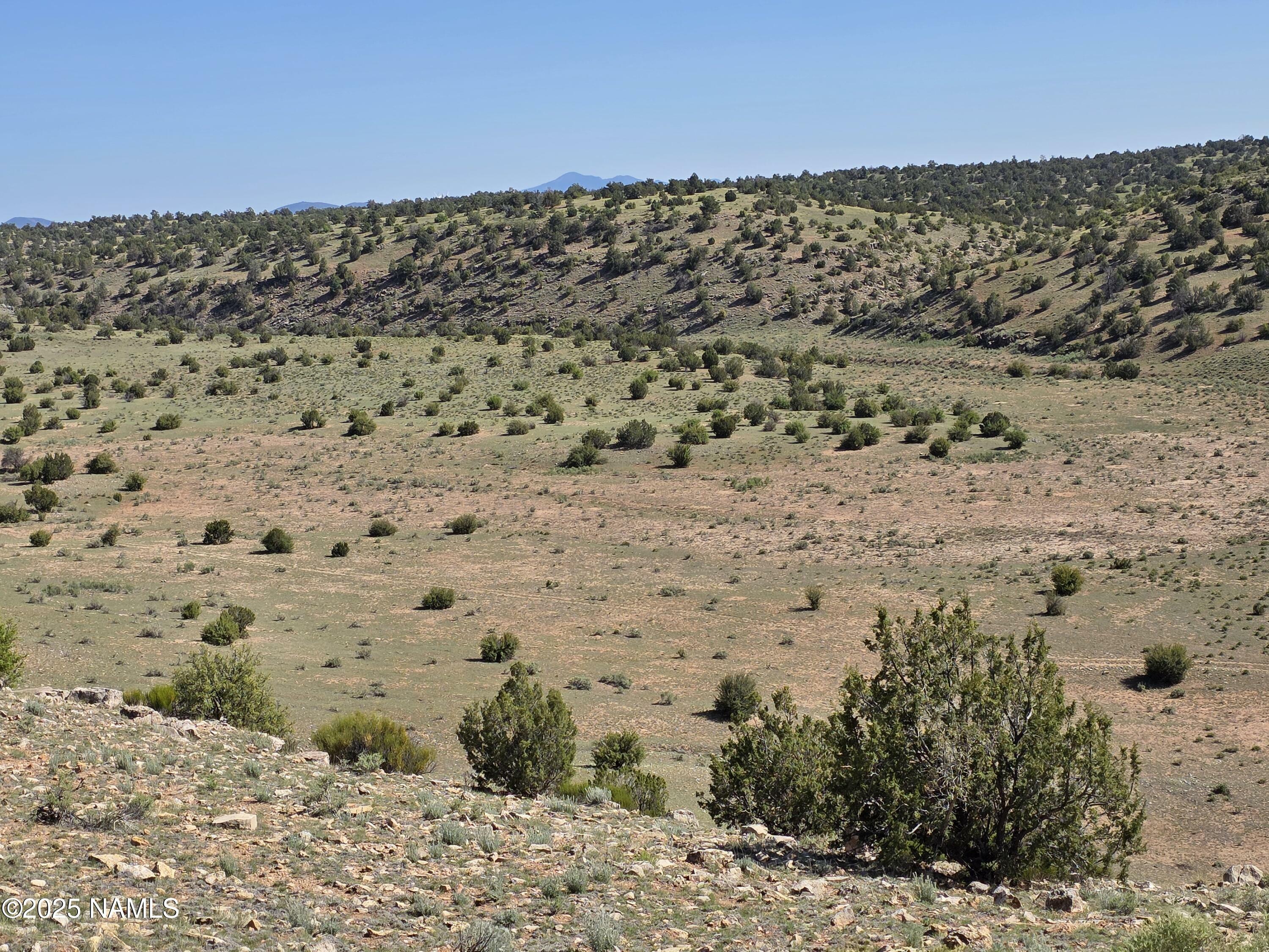 Property Photo:  8175 Sharp Knife Road  AZ 86046 
