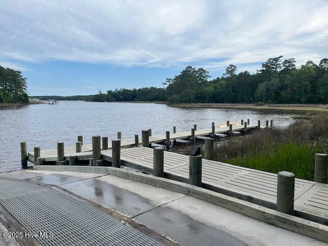 Property Photo: 141 Starkey Creek Drive NC 28584
