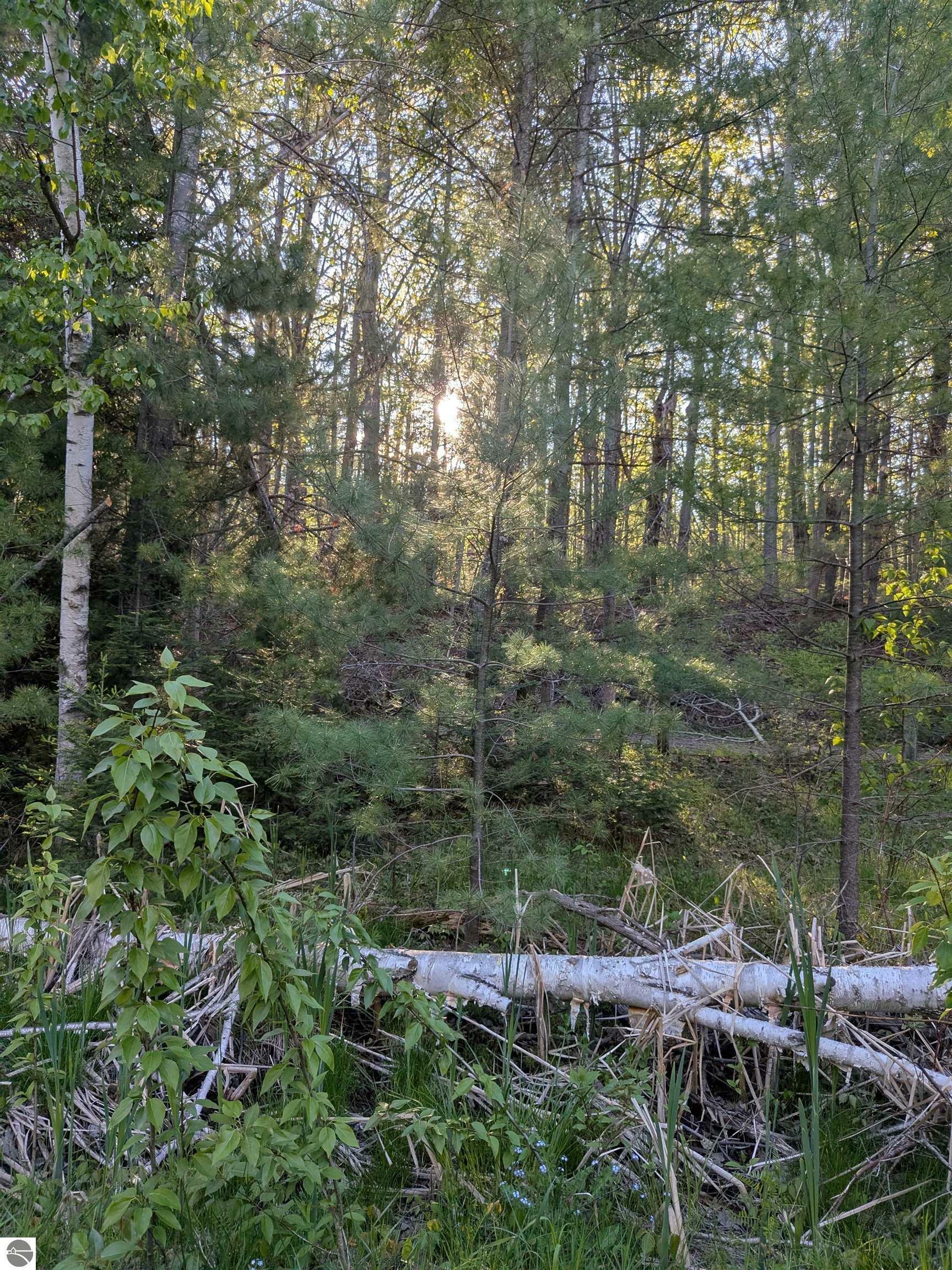 Property Photo: 512 S Grandview Beach Road MI 49749
