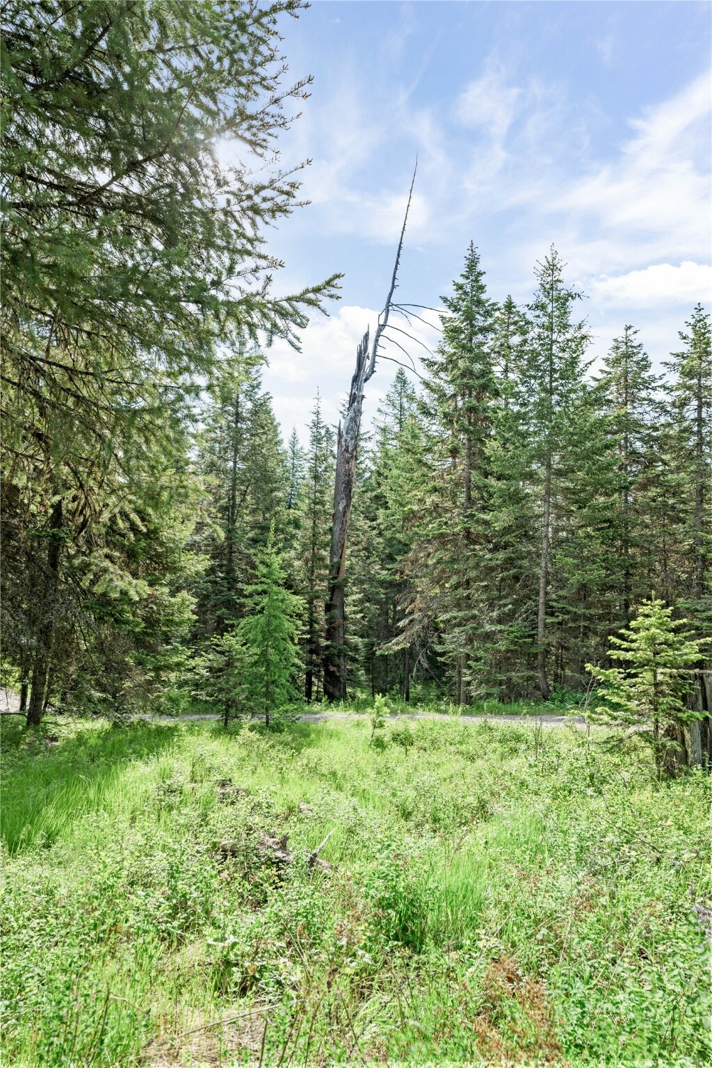 Property Photo: 1382 La Brant Road MT 59911