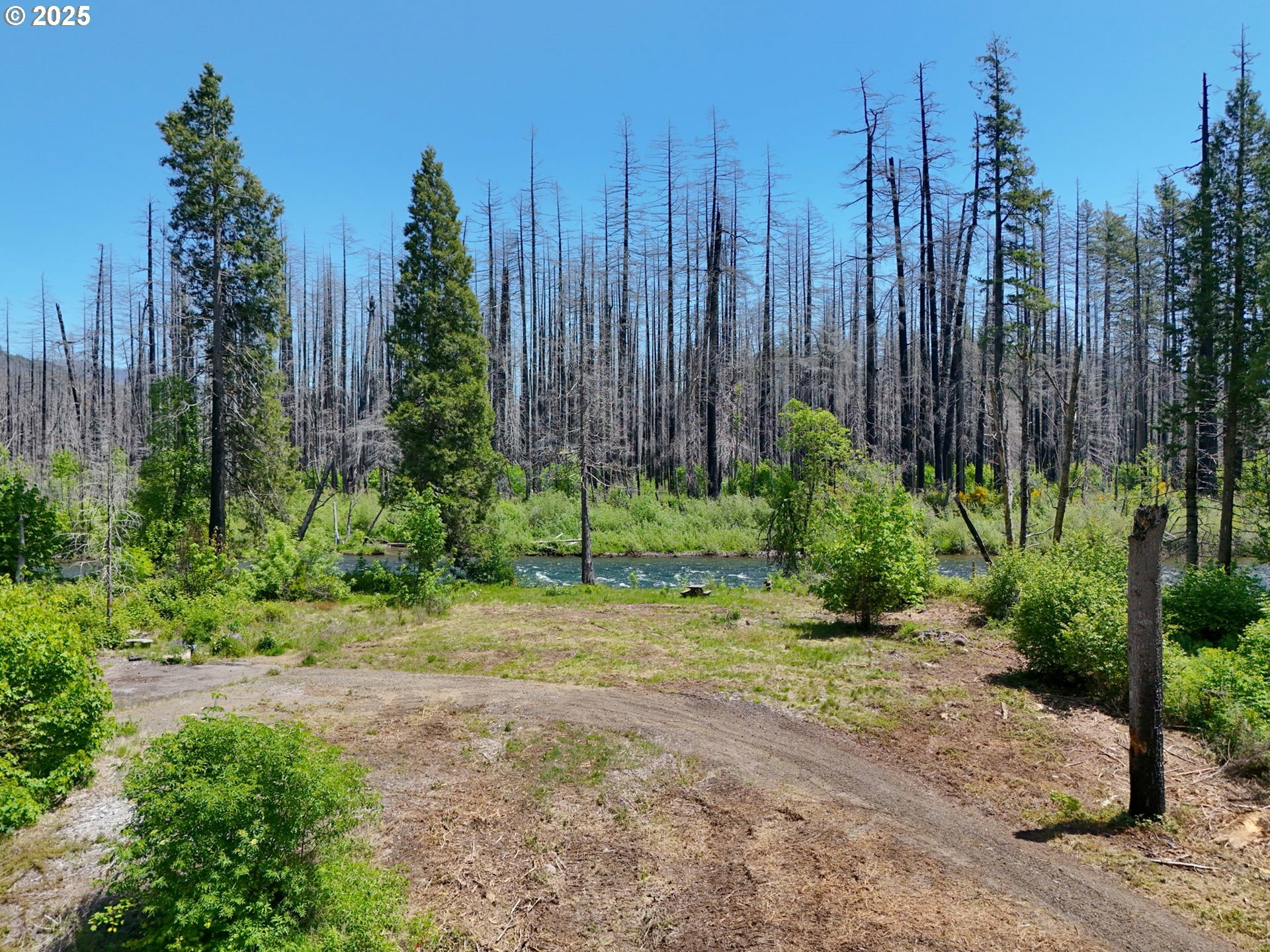 Property Photo: 52984 McKenzie Hwy OR 97413