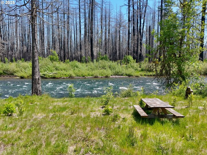 Property Photo:  52984 McKenzie Hwy  OR 97413