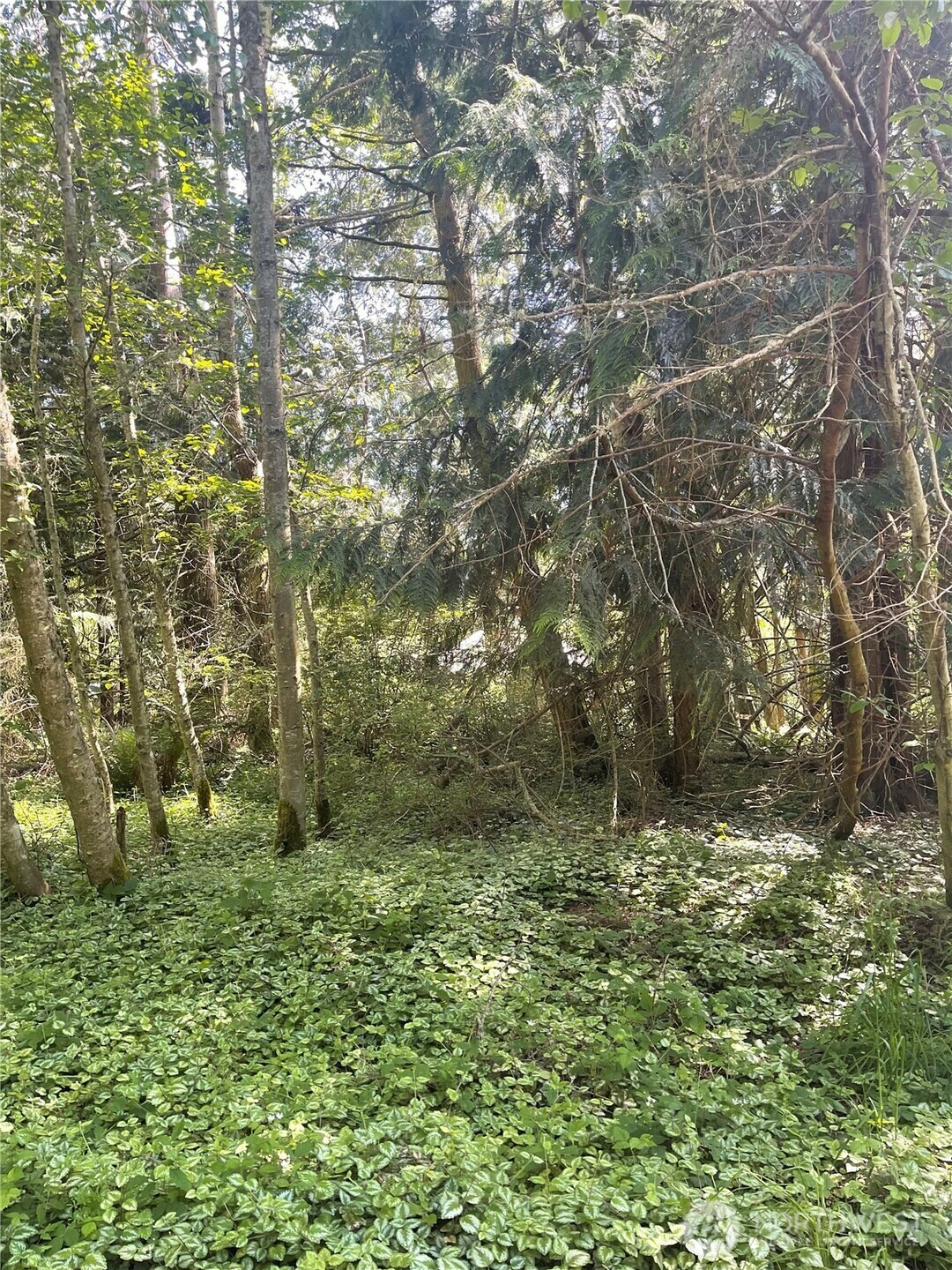 Property Photo: 1321 54th Street WA 98368
