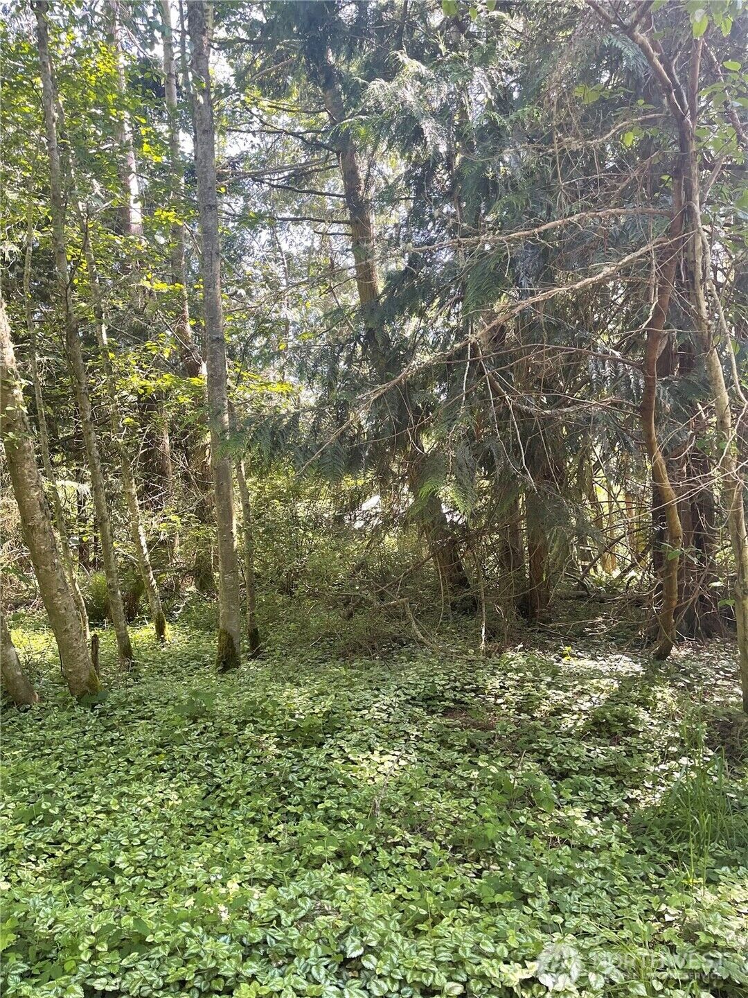 Property Photo: 1321 54th Street WA 98368