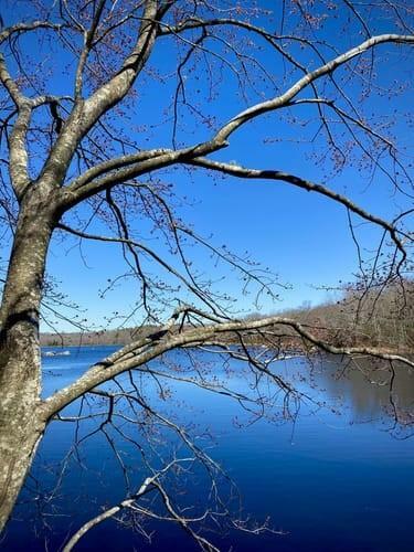 Property Photo: 74 Blue Pond Trail RI 02832
