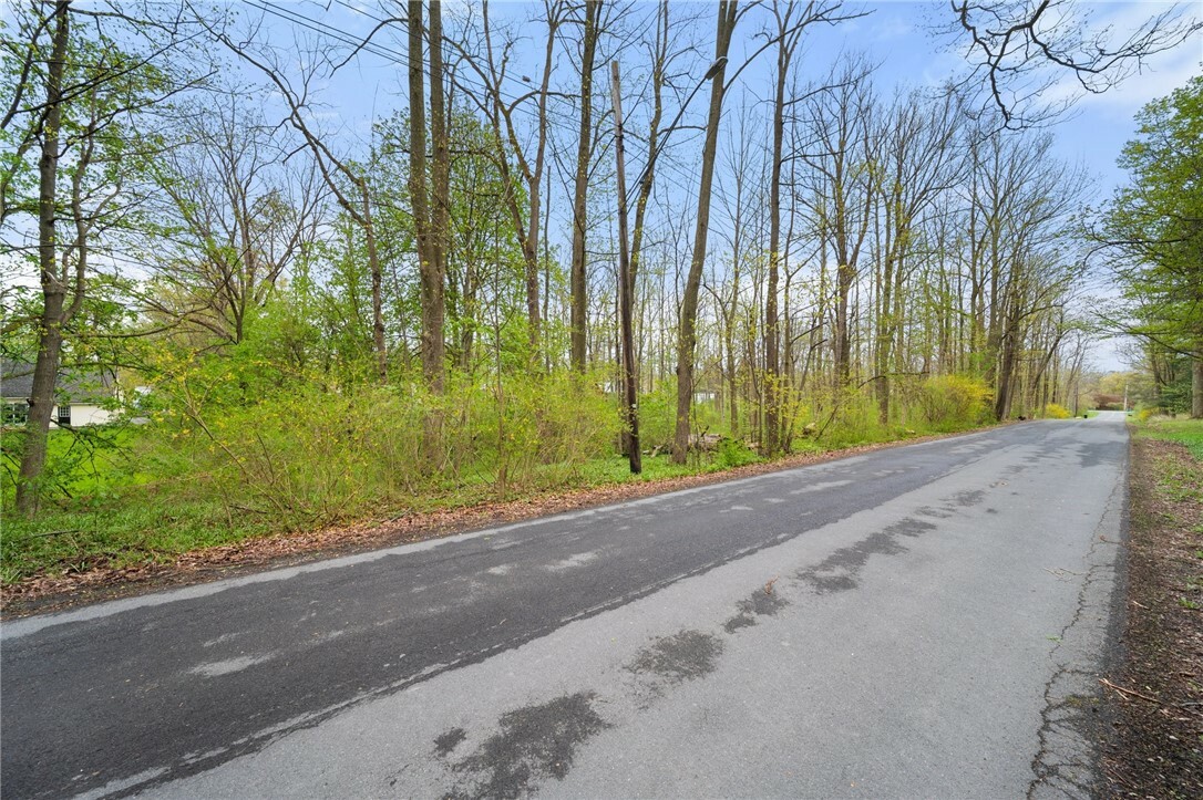 Property Photo: Lot 3 Camp Street NY 14886