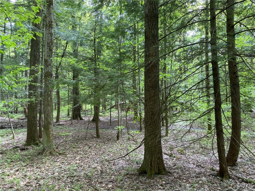 Property Photo:  White Road  NY 13131 