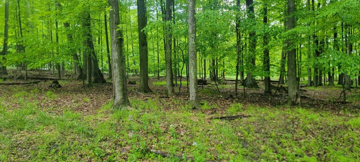 10 Miramar Rd  Dubois PA 15801 photo