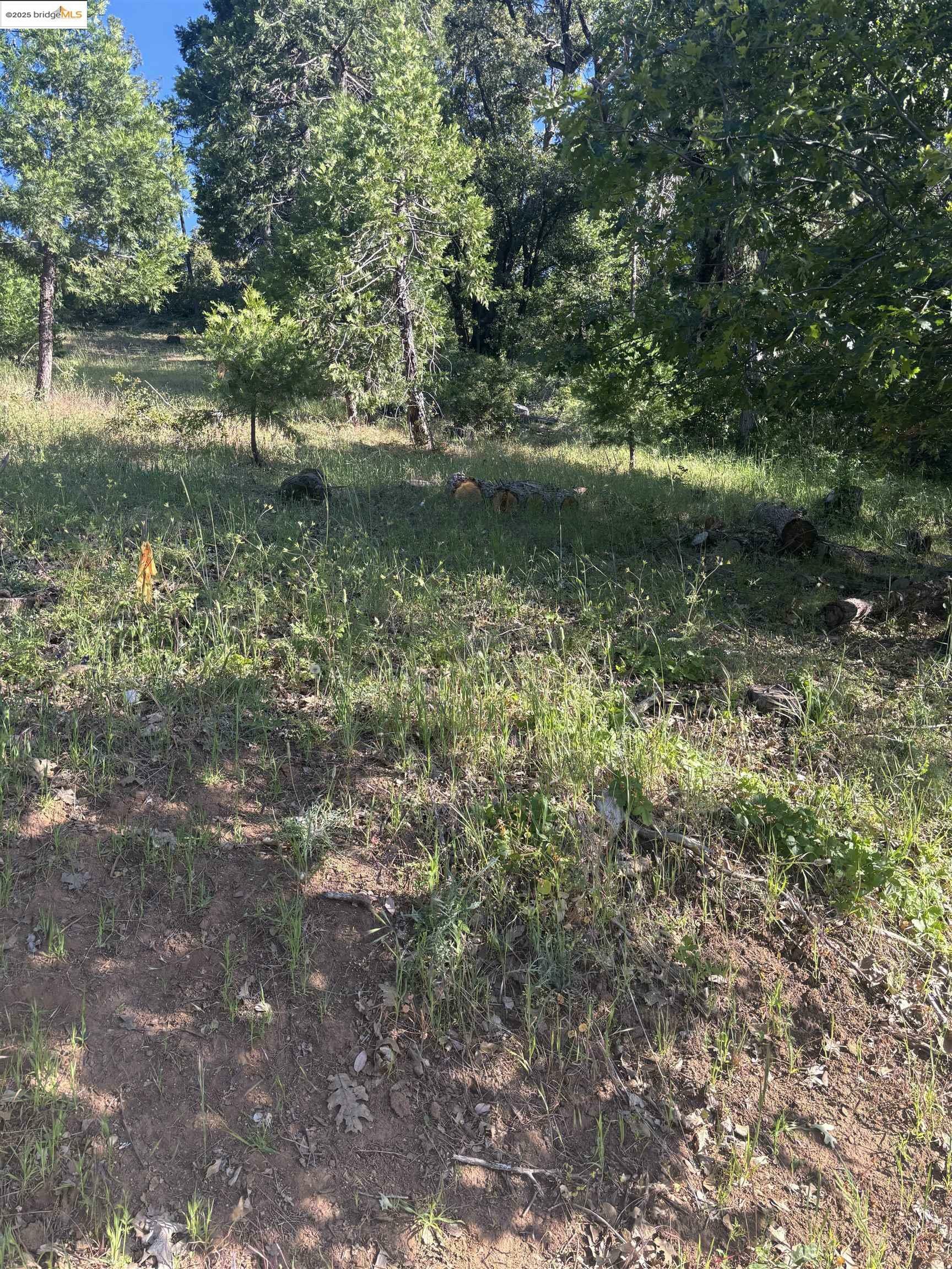 Property Photo: 00000 Eastview Dr CA 95379