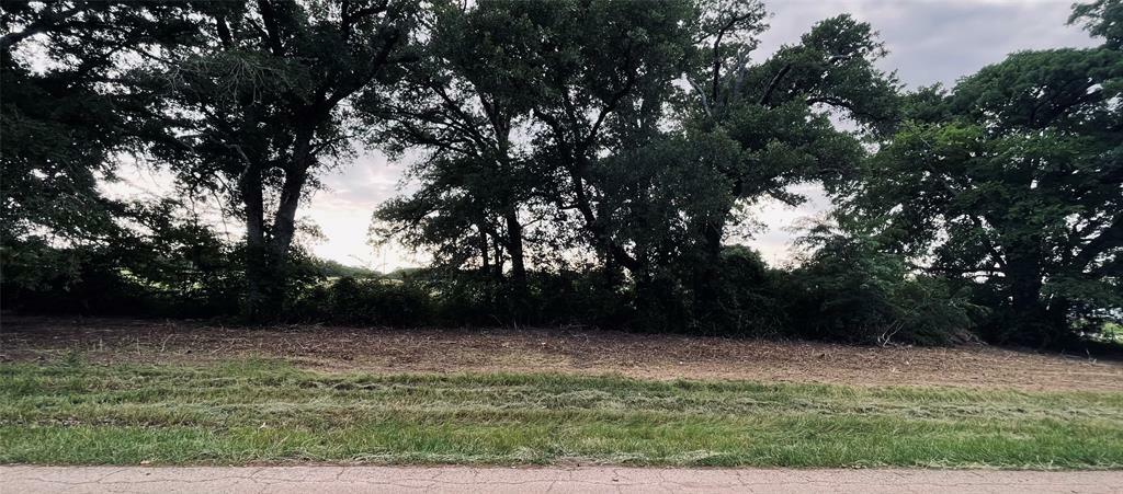 Property Photo: Lot 5 County Road 1560 TX 75410