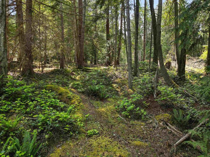 Property Photo: 568 Aya Reach Road BC V0N 2J1