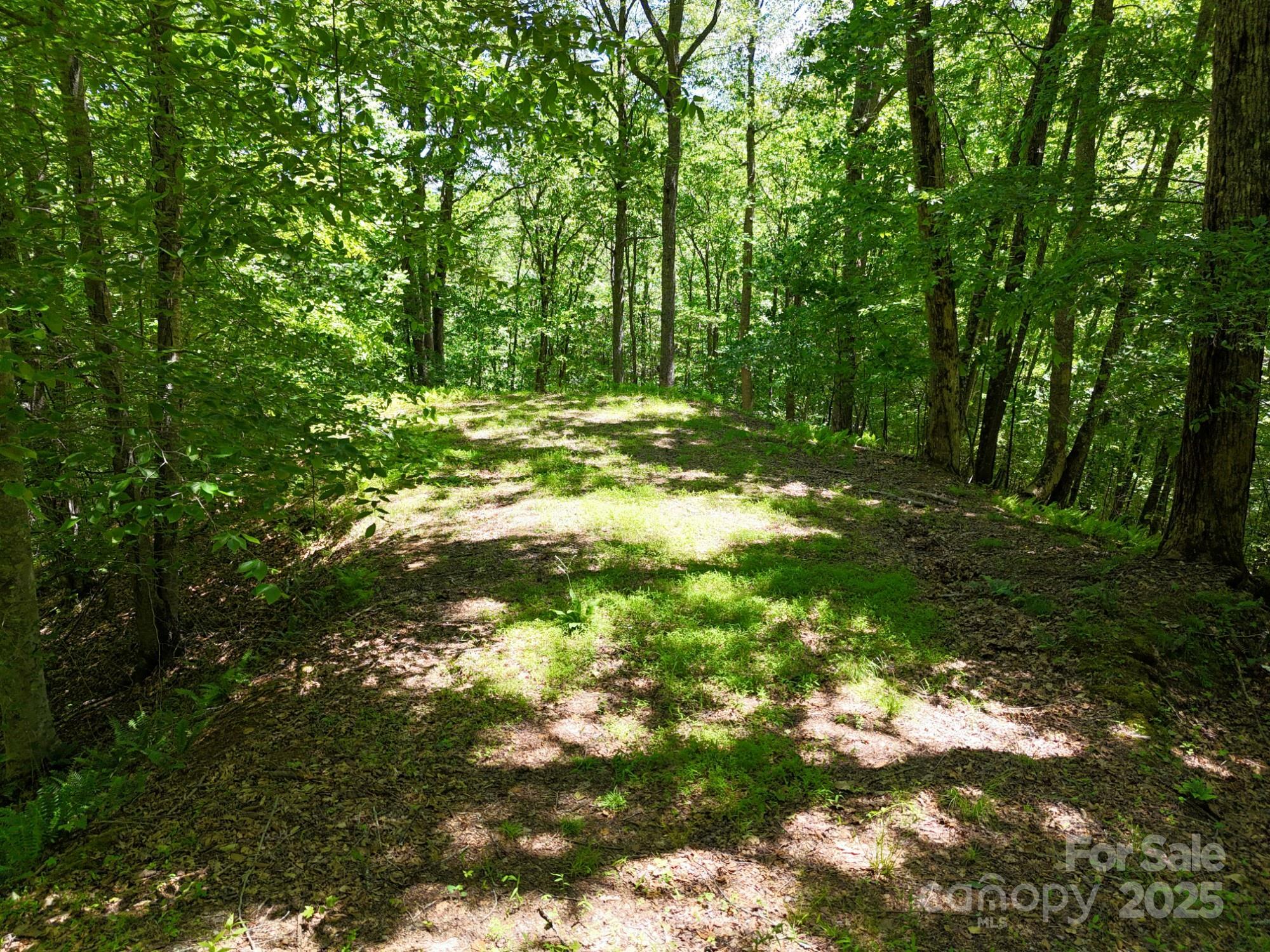 Property Photo:  0 Elkhorn Ridge Drive 46  NC 28734 