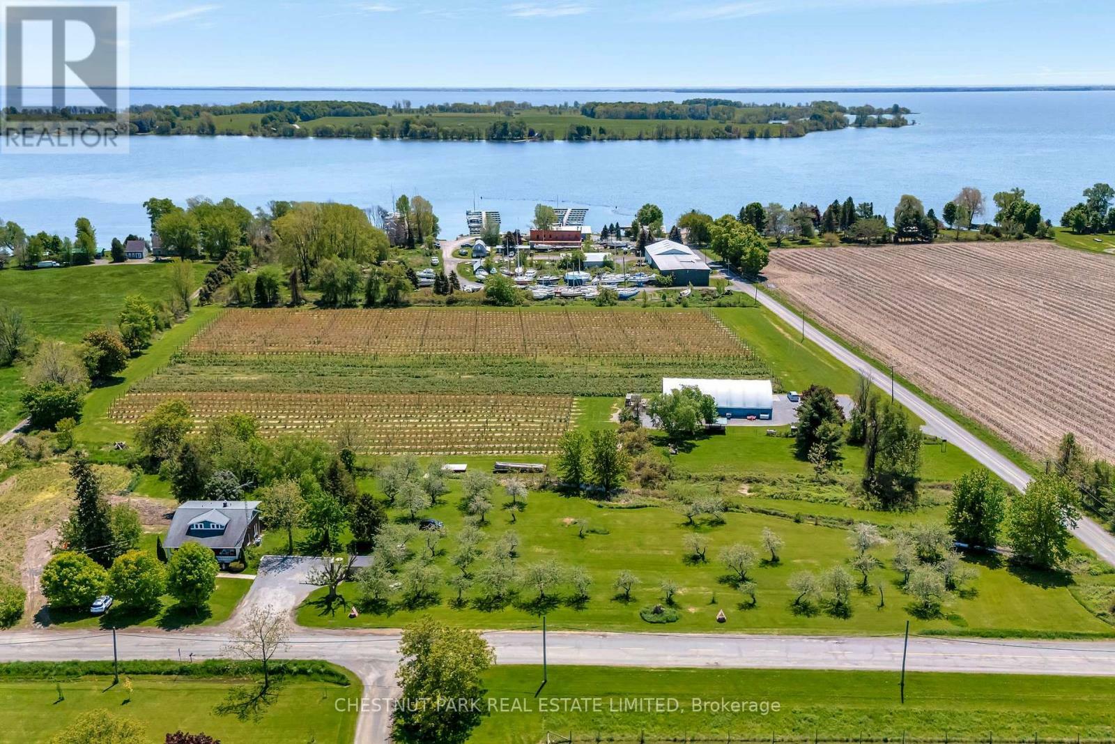 County Road 38  Prince Edward County (North Marysburg Ward) ON K0K 2T0 photo