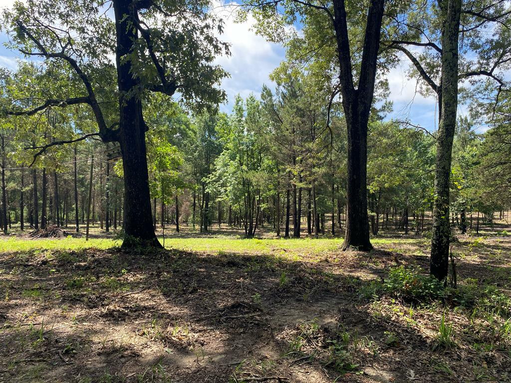 Property Photo: Tba-A Cr 3853 TX 75954