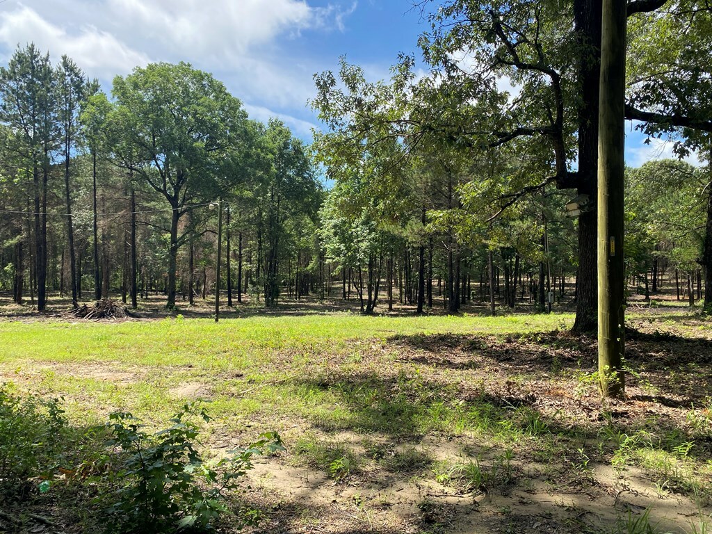 Property Photo:  2123 Cr 3853  TX 75954 