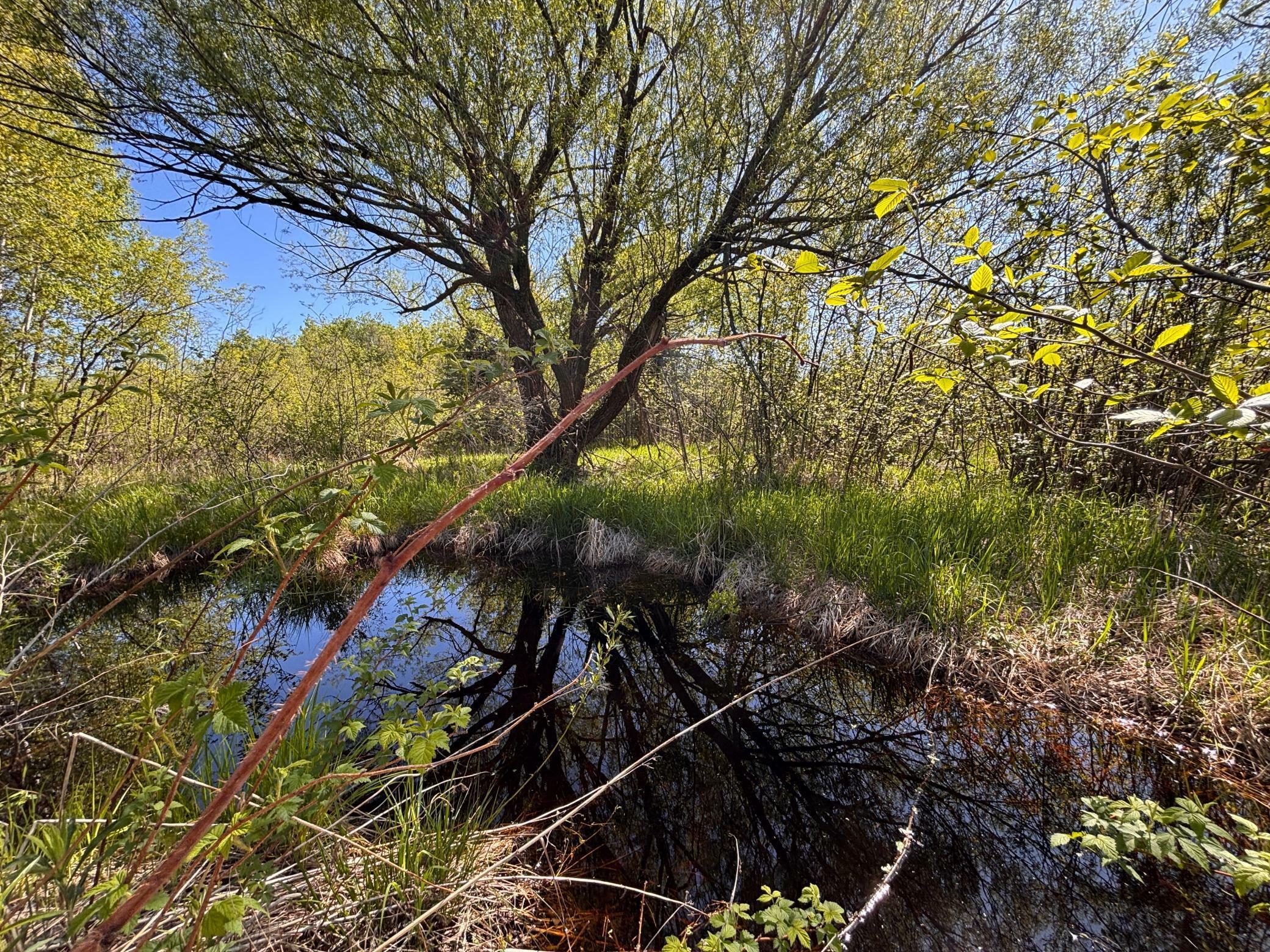 Property Photo:  754xe S Brannan Road  WI 54854 