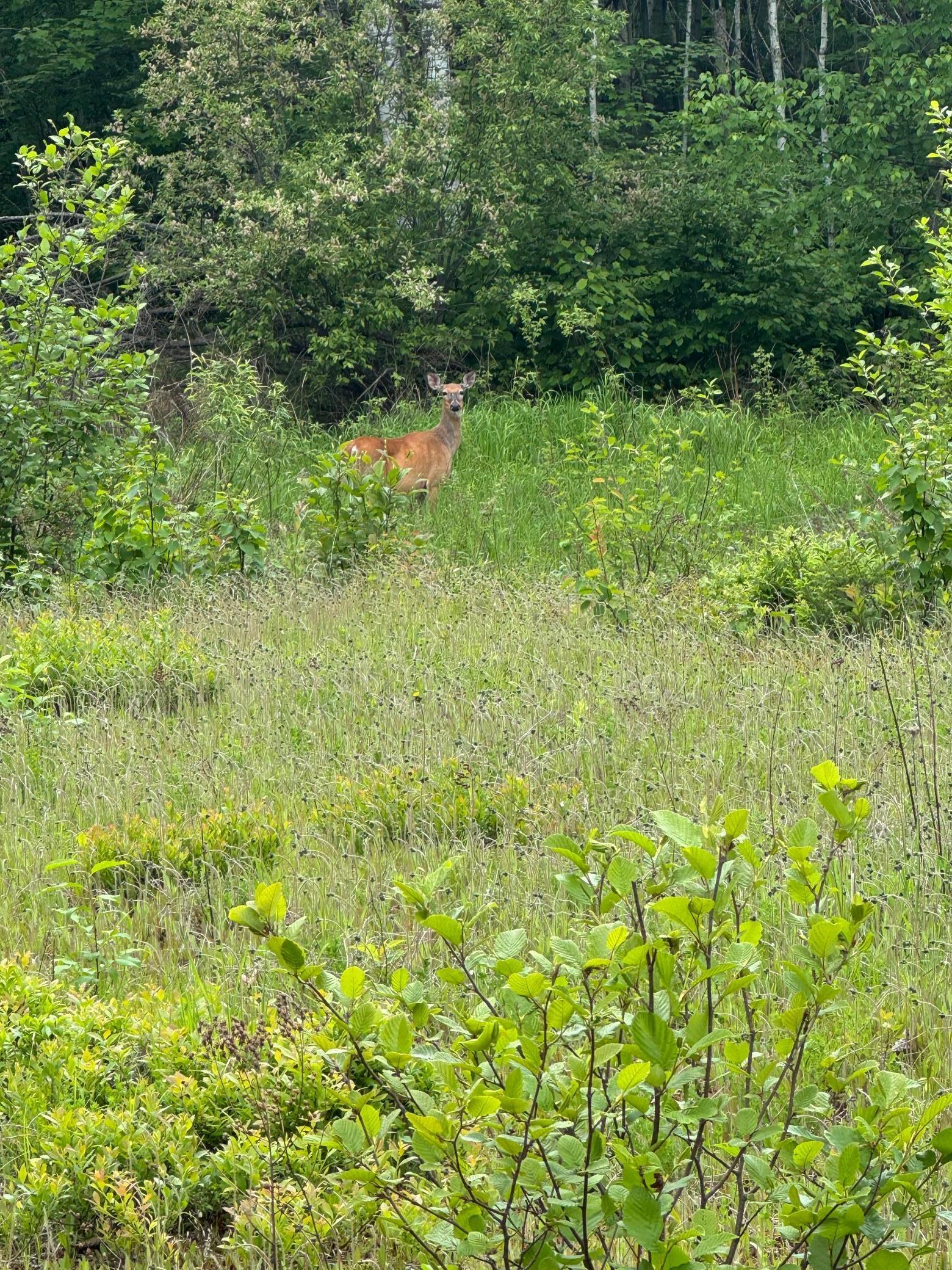 Property Photo: 7544E S Brannan Road WI 54854
