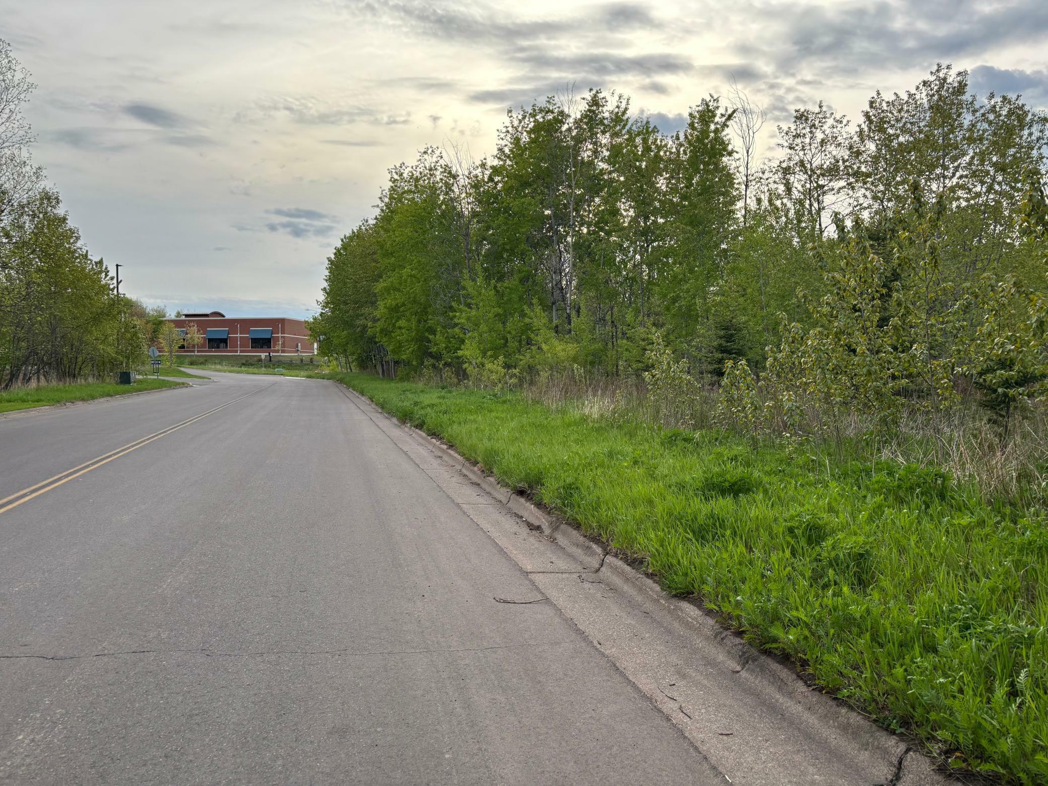Property Photo: Xx W Myrtle St MN 55811