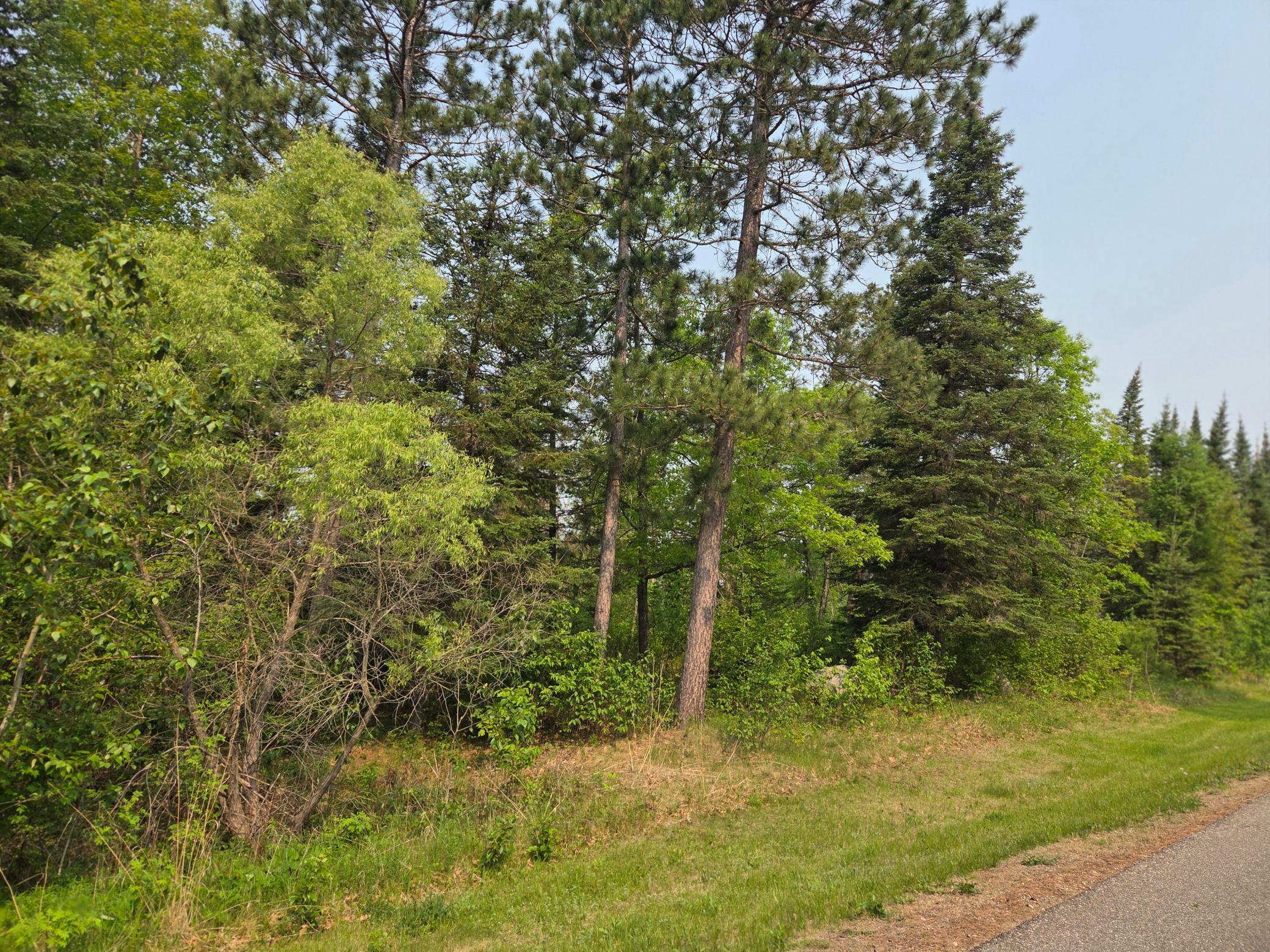 Property Photo: Tbd Graycalm Court SE MN 56601